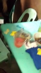 mga lasing