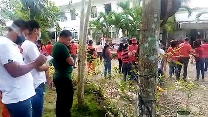 Papawis Muna