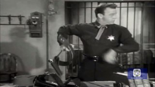 Adventures of Champion - Season 1 - Episode 16 - Johnny Hands Up | Champion, Barry Curtis