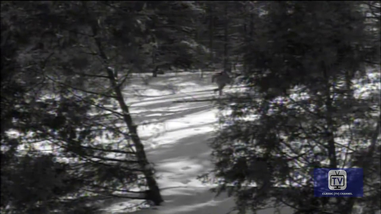 Last of the Mohicans | Season 1 | Episode 38 | Indian Doll | John Hart | Lon Chaney Jr.