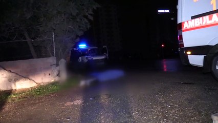 ADANA - Yol kenarında ceset bulundu