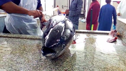 CUTTING OF BIG TUNA FISH IN OMAN