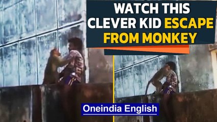 Biting Monkey tries to provoke, Kid acts like statue and escapes | Oneindia News