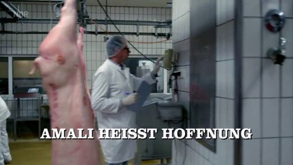 Großstadtrevier Staffel 371: Amali bringt Hoffnung zurück ✨