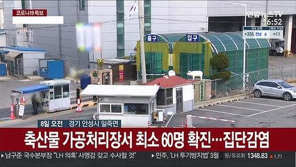 안성 축산물 가공처리장서 코로나19 집단감염…확진자 증가우려