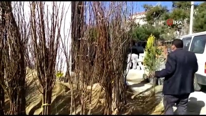 Baharın gelmesiyle fidanlar toprakla buluşmaya başladı