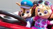 Paw Patrol's Skye and Chase's fun day at the Playground & No Bullying at School Baby Pups Videos!