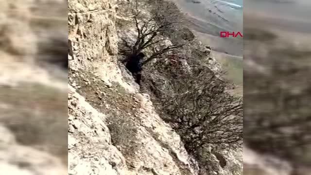MARDİN Uçurumda mahsur kalan keçiyi 2 saatte kurtardılar