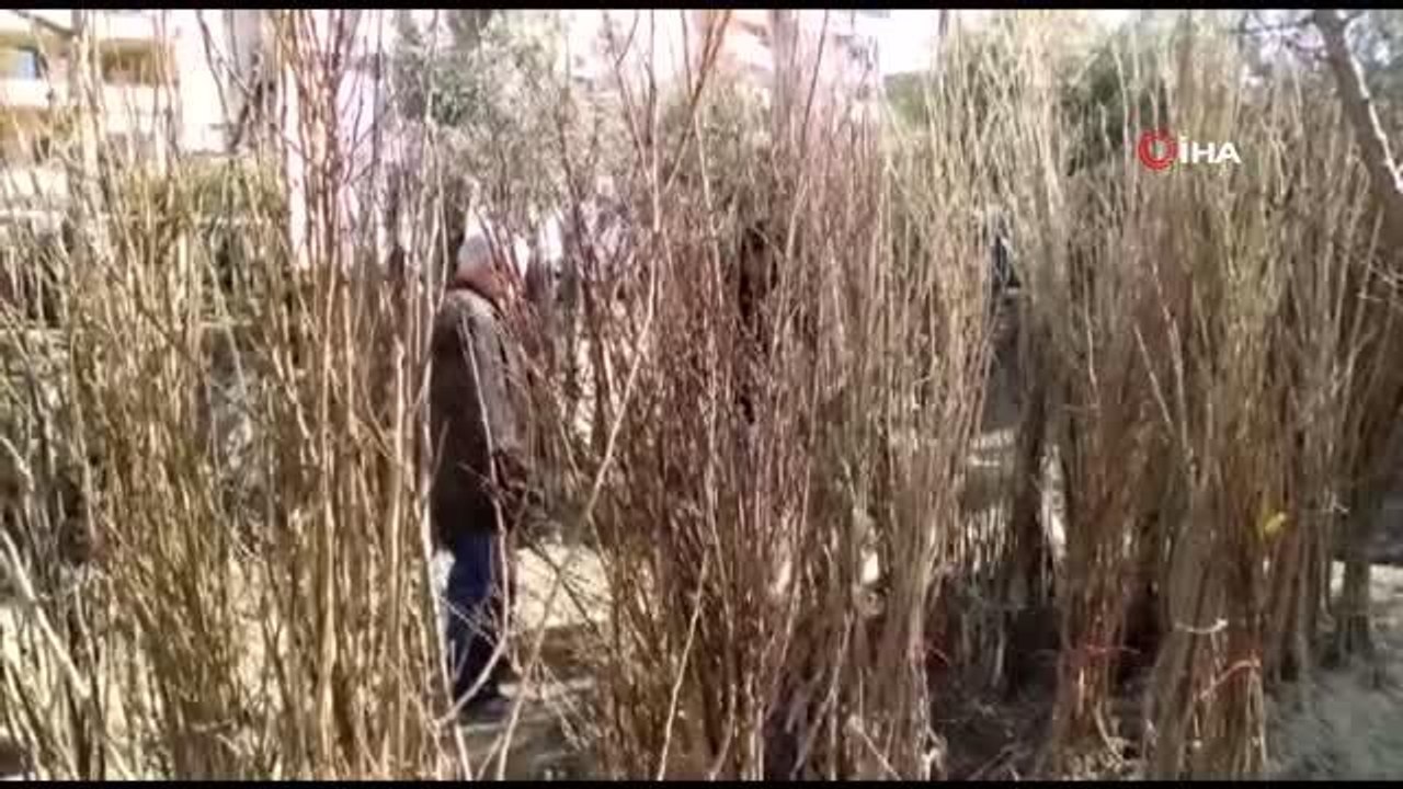 Baharın gelmesiyle fidanlar toprakla buluşmaya başladı