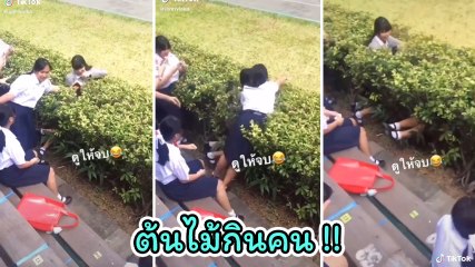 อย่างจี้ ! พบแล้วต้นไม้กินคน เดิน ๆ อยู่หายวับไปกับตา