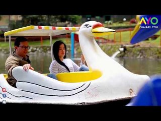Gunung Mas, Wisata Perkebunan Teh nan Cantik