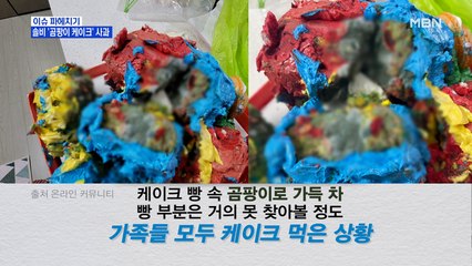 MBN 뉴스파이터-솔비 '곰팡이 케이크' 사과…"최선 다해 책임질 것"