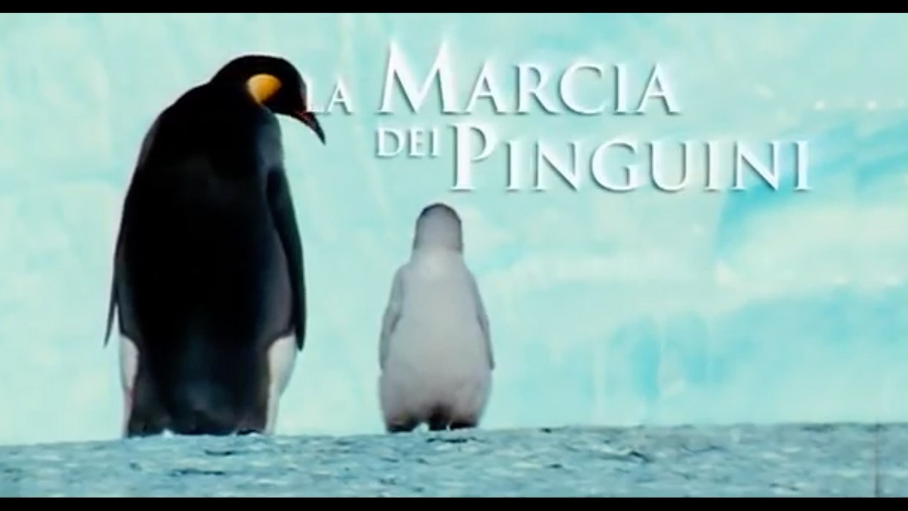 La Marcia dei Pinguini (2005).avi MPEG4 WEBDLRIP ITA
