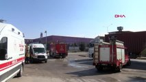 GAZİANTEP Kuruyemiş fabrikasında çıkan yangında 17 işçi dumandan etkilendi