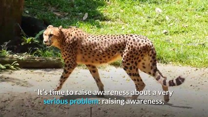 Bill Maher Honors Awards Season By Donning Lapel Ribbon To “Raise