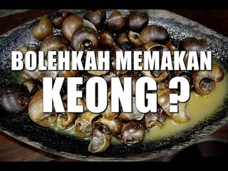 MENJIJIKAN!!!!! Hidangan Keong Lezat Khas 6 Negara