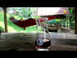 Ini Dia Kebun Kopi Hits di Tengah Kota