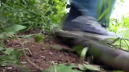 trailer- hoàng tử ếch- bản thái.phim thái lan vietsub2021(phim hoàng tử ếch thái lan)