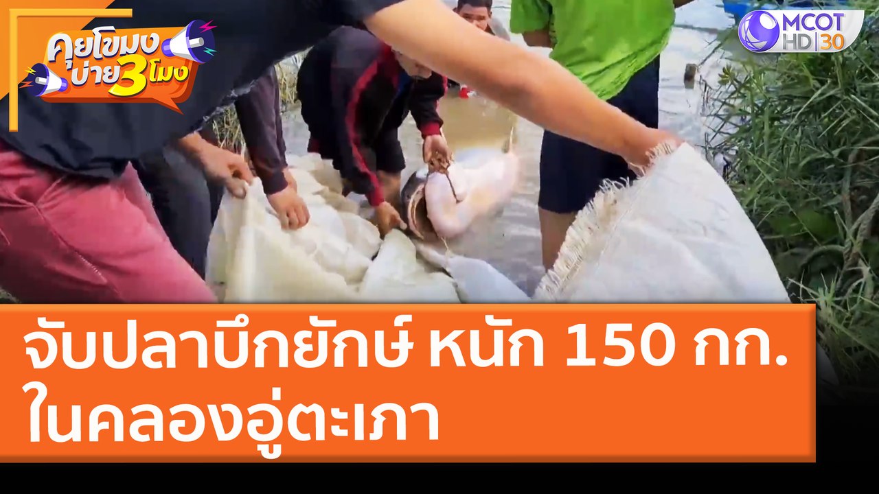 จับ "ปลาบึกยักษ์" หนัก 150 กิโลกรัม ในคลองอู่ตะเภา (8 มี.ค. 64) คุยโขมงบ่าย 3 โมง | 9 MCOT HD