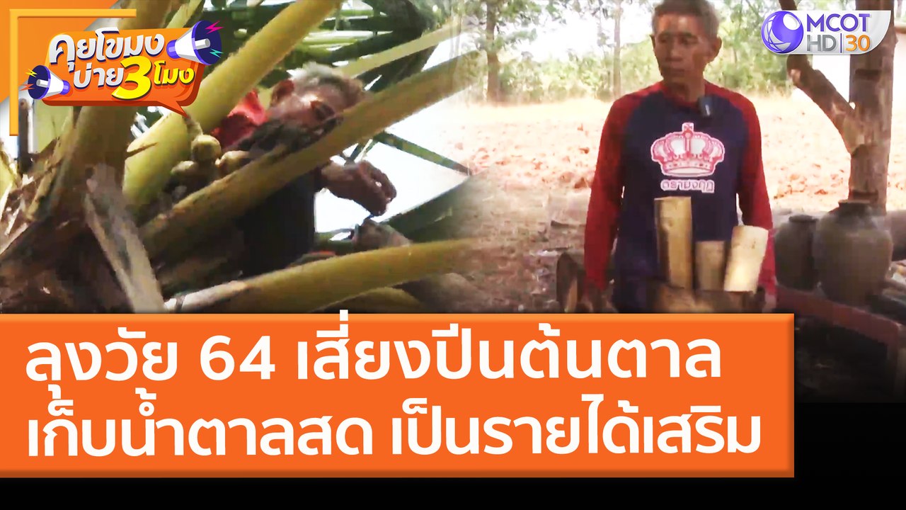 ลุงวัย 64 เสี่ยงปีนต้นตาล เก็บ "น้ำตาลสด" เป็นร...