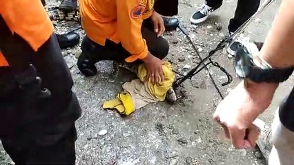 Peliharaan Membahayakan, Seekor Buaya Muara di Handil Bakti Dievakuasi