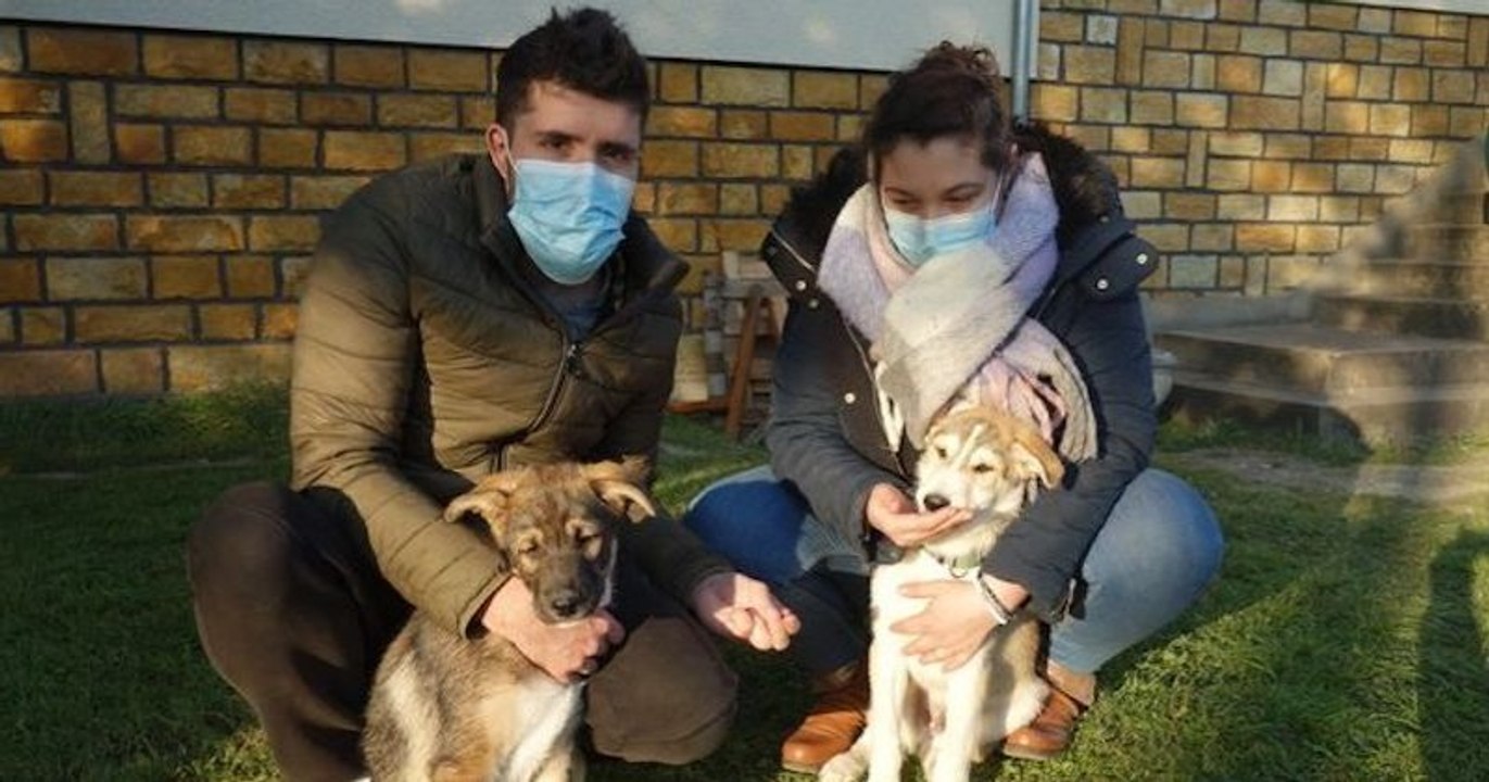 Un couple adopte un chiot abandonné dans une poubelle et revient chercher son frère aveugle