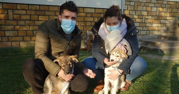 Un couple adopte un chiot abandonné dans une poubelle et revient chercher son frère aveugle