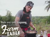 Farm To Table: Ginataang Camansi at Puso ng Saging ala Chef JR Royol