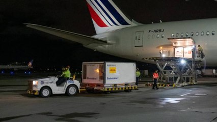 Lote de más de 547.000 vacunas de Sinovac llegó a Colombia