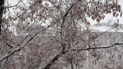 Ağrı'da Mart ayında kar yağışı etkili oldu