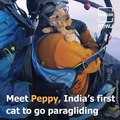 Peppy-India’s First Cat To Go Paragliding in Billing, Himachal Pradesh
