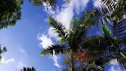 Música ▷ ELECTRÓNICA relajante para ▷ ESTUDIAR y aprender rápido