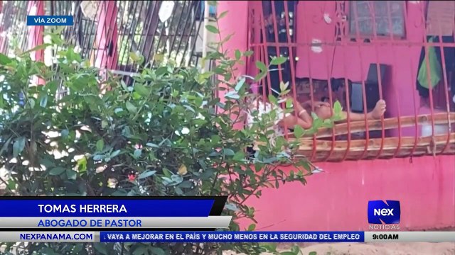 Entrevista a Tomas Herrera, Abogado de pastor - Nex Noticias