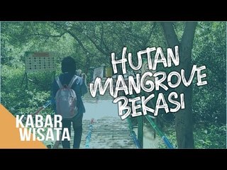 Mengenal Hutan Mangrove di Belahan Utara Bekasi