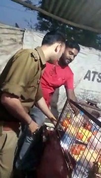 सिपाही के द्वारा शराब ठेके पर देसी शराब पीने का वीडियो हुआ वायरल