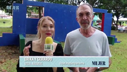 Vida Animal | Test de Inteligencia canina - Nex Noticias