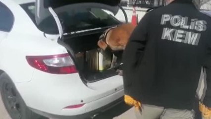 Yağ tenekeleri içine gizlenmiş uyuşturucuyu narkotik köpeği buldu