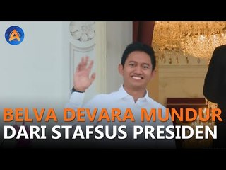 BELVA DEVARA MUNDUR DARI STAF KHUSUS MILENIAL JOKOWI