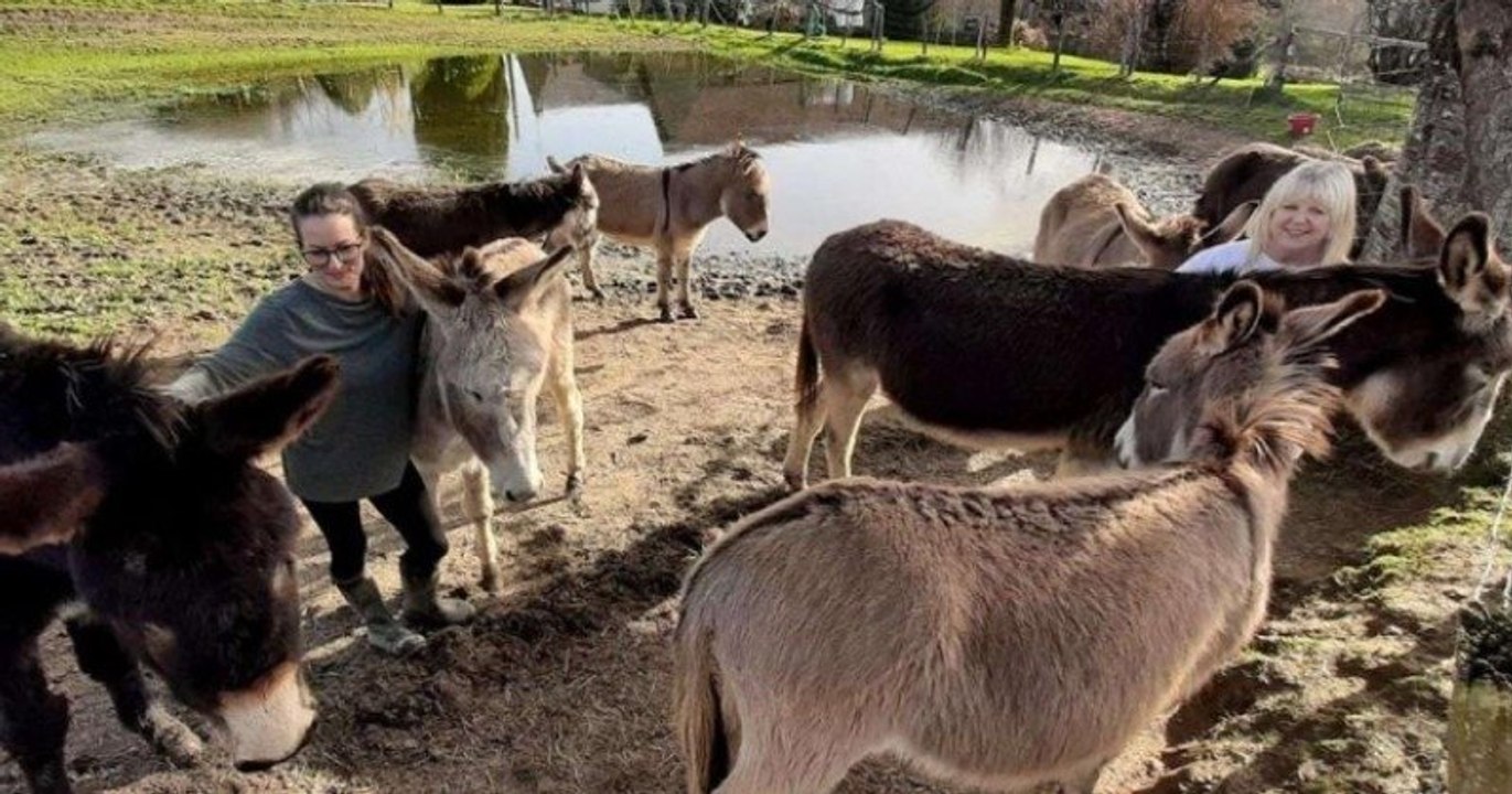 En Dordogne, ce refuge recueille les ânes maltraités, abandonnés ou condamnés à l'abattoir