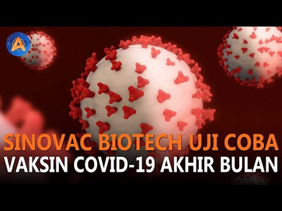 SINOVAC BIOTECH UJI COBA VAKSIN COVID-19 AKHIR BULAN