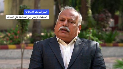 فيروس فتاك يهدد مصير آخر الأسود الآسيوية في الهند