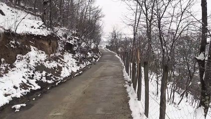 TRABZON - Kar yağışı etkili oldu