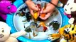 WOW, Drop Betta Fish Koi Angelfish Turtle Grayfish Lobster into water bowl | Best Aquarium fish videos