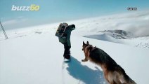 Snow Dog! Check Out This Powerful Pup Keep up With His Owner on a Snowboard!