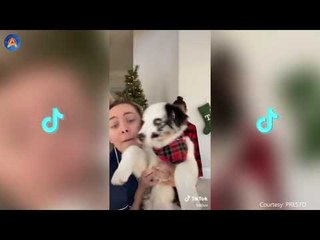 TIKTOK JADI APLIKASI PALING INOVATIF 2020