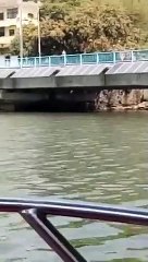 जान देने के लिए छात्रा ने तालाब में लगाई छलांग, सतर्क गोताखोर ने बचाया, देखें लाइव वीडियो