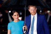 Meghan Markle and Prince Harry Could Be Stripped of Their Titles Following Oprah Interview