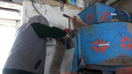 70 yaşındaki Safiye nine, 10 kişinin yapamadığı işi tek başına yapıyor