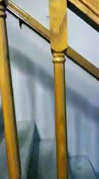 Ce chat est un tueur de drone... Efficace