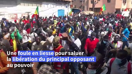 Un juge relâche l'opposant Sonko, la tension persiste à Dakar